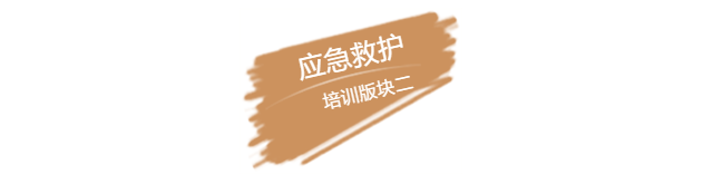 @6~HVV(EHWK8_(1G_AM1M~K.png
